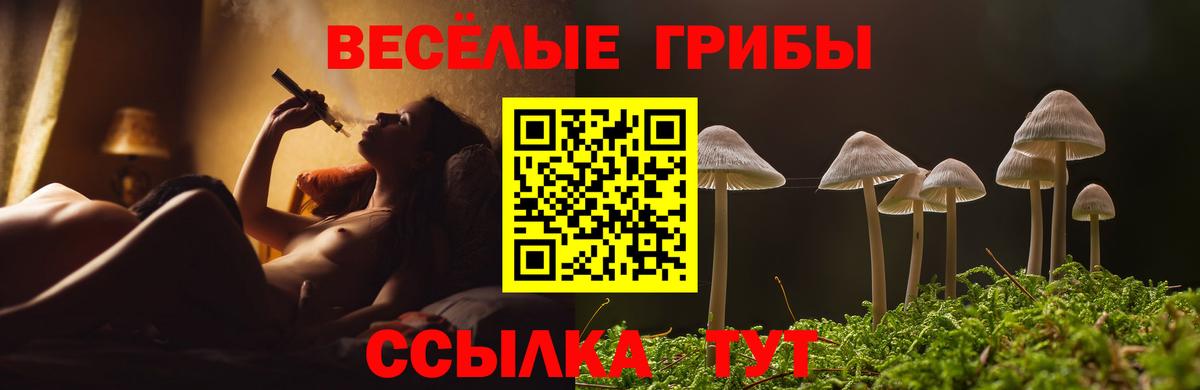 Галлюциногенные грибы Cubensis Ивантеевка